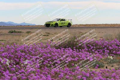media/Jan-08-2023-SCCA SD (Sun) [[8f6a5b9391]]/Advanced Group/Session 2 (Short Straight)/